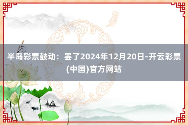 半岛彩票鼓动：罢了2024年12月20日-开云彩票(中国)官方网站